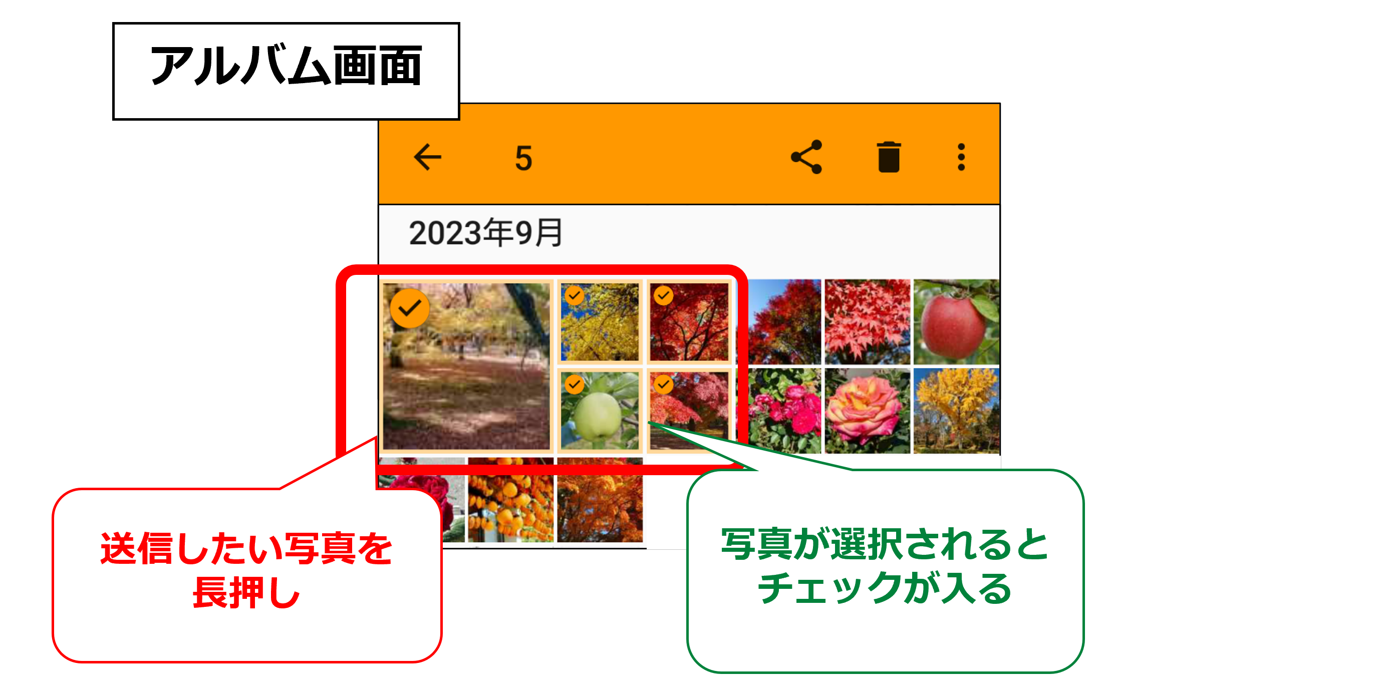 Androidで共有したい写真を選択する