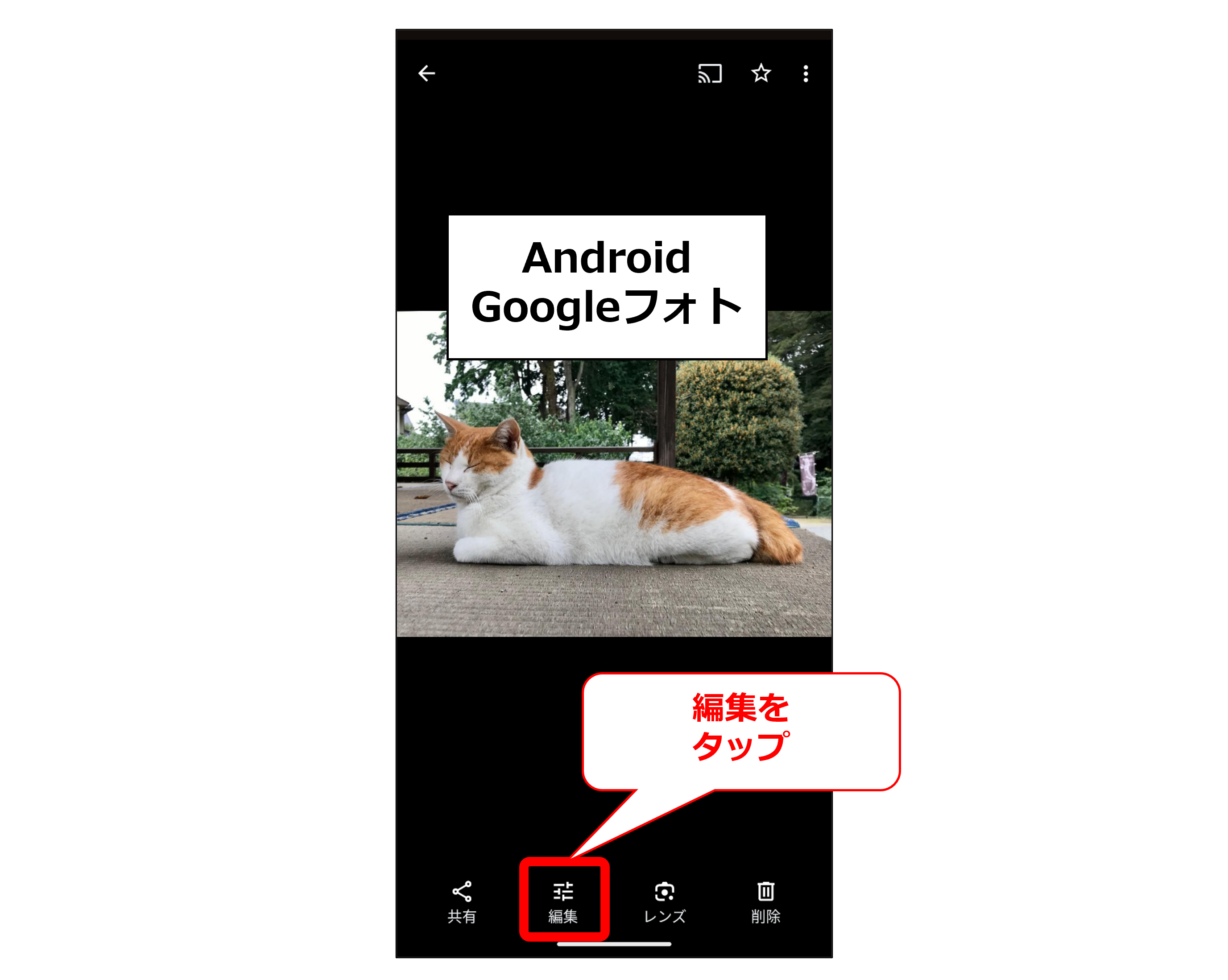 Androidの編集画面